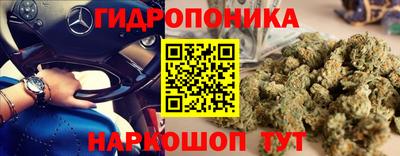 твердый Ярославль