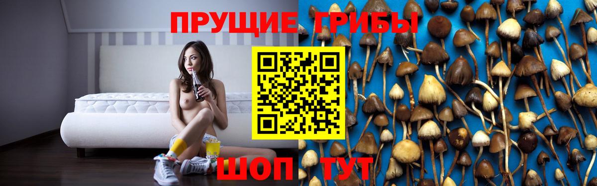 Галлюциногенные грибы Psilocybe  Вход с VPN  что такое наркотик  Белебей 